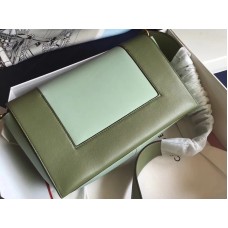 Celine Medium Frame Shoulder Bag Calskin Blue And Green