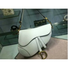 Dior Saddle Calfskin Bag Gold Hardware White m0446l3