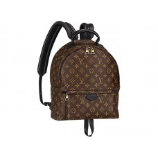 Louis Vuitton Monogram Canvas Palm Springs Backpack Mm