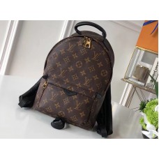 Louis Vuitton Monogram Canvas Palm Springs Backpack Pm m41560