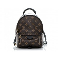 Louis Vuitton Monogram Canvas Palm Springs Backpack Mini am41562